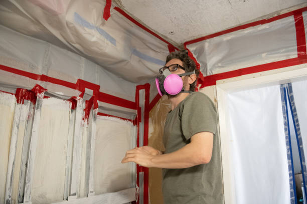Best Industrial Mold Remediation  in Saylorville, IA