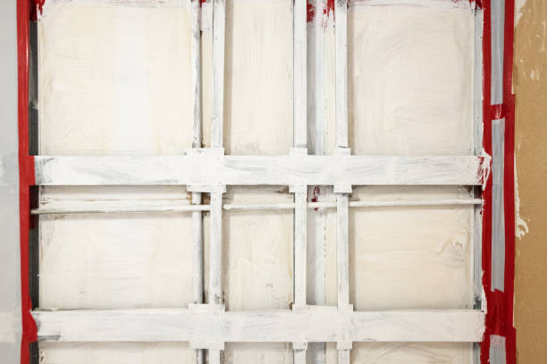 Trusted Saylorville, IA Mold Removal Experts