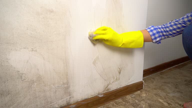 Best Airborne Mold Testing  in Saylorville, IA