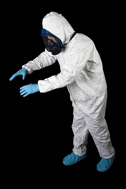 Best Mold Removal for HVAC Installations  in Saylorville, IA