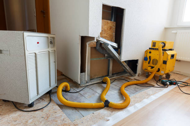Best Black Mold Removal  in Saylorville, IA