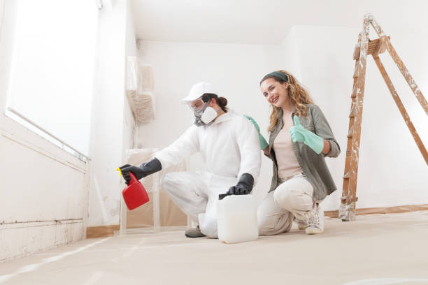 Best Crawl Space Mold Remediation  in Saylorville, IA