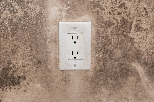 Best Real Estate Mold Inspection  in Saylorville, IA