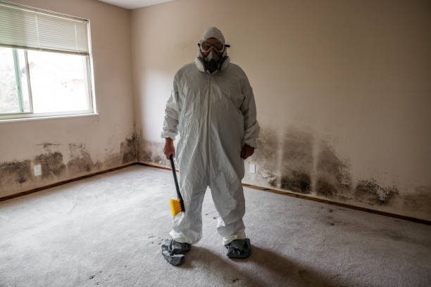 Best Commercial Mold Inspection  in Saylorville, IA