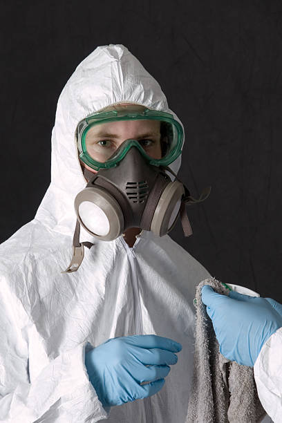 Best Mold Documentation for Insurance Claims  in Saylorville, IA